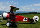Fokker Dr.I (replica)